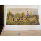 Открытка 1961 СССР Живопись Поленов Горелый лес