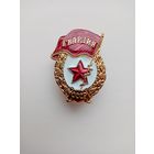 ЗНАК ГВАРДИЯ СССР (3)