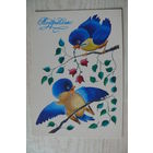 Буевская О., Поздравляю! 1991, чистая.