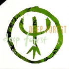 Deep Forest – Deep Forest, VINYL 1994