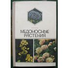 Медоносные растения. М.М. Глухов.