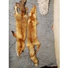 Шкуры лисы, выделанные. одна 35р, за две 60р.