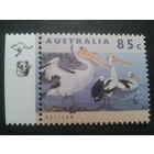 Австралия. 1994 пеликаны