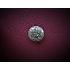 ПУГОВИЦА ЖОЛНЕРА, БУРЖУАЗНАЯ ПОЛЬША 1934г.