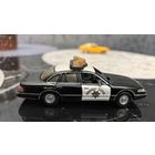 Форд Полиция