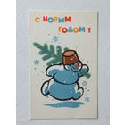 Стенин Осока с новым годом 1970  9х14 см