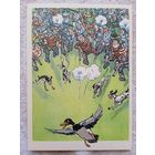 1960. Семенов. Сезон начался!