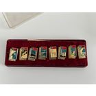 Дальний Восток сувенир в пенале с полным набором значков и вкладышем