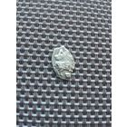 Чешуйка2 с рубля!