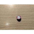 Футбольный клуб Спартак Житомир