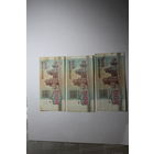 Беларусь.200 рублей 1992. 3 ШТ