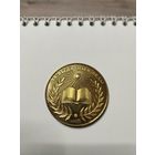 Школьная медаль. Беларусь. Последний выпуск.