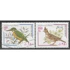 Иран. Птицы. Хохлатый жаворонок и зимородок. 1999г. Mi#2798-99. Серия.