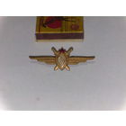 Знак классность ВВС СССР (переделка)