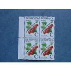 Беларусь 2004. Квартблок  крыжовник. будет с правым полем.