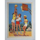 Качелаев дети баскетбол 1961