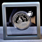 50 лет ООН 1 рубль 1996 серебро