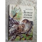 I.Галубовiч"Зязюля дзетак шукала"\3