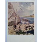1957. Мелихов. Чайки. Издание Киева