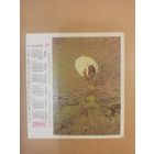 Календарь Международная фотовыставка 91/1