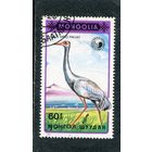 Монголия. Фауна. Аисты