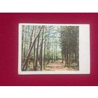 Минск весной! Ананьины. 1967 г. Чистая.