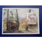 2006 Фил. выставка, Надпечатка** Блок