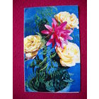 Поздравляю! Костенко 1972 г. Двойная.