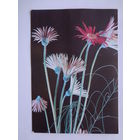 Календарик 1996 г. Цветы. Минская картографическая фабрика.