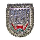 Мастер спорта Республики Беларусь