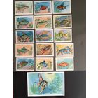 Спичечные этикетки СССР. Набор Аквариумные рыбки