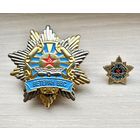 Знаки Ветеран ВВС