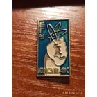 Знак значок БГУ Физфак