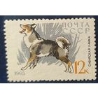 СССР 1965 собаки 1 из 8, без клея.