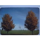 Календарик 1997 г. Белавиа.