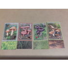 БЕЛАРУСЬ 2013 грибы серия