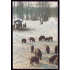 1 календарик Росохотрыболовсоюз 1