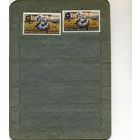 Малуку,    территория    Индонезия   фауна 2м