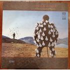 Pink Floyd - Delicate Sound Of Thunder, 2LP