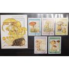 Республика Гвинея. 1995 год. Флора. Грибы. Блок и 5 марок (986)