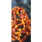 Янтарь натуральный СССР