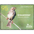 Птицы Австрия 2024 год серия из 1 марки