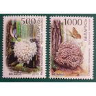 2010 Красная книга Республики Беларусь. Грибы