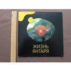 Красочный буклет-книга Жизнь янтаря (3691)