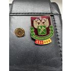 Значок. Ногинская Таможня. Тяжёлый