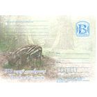 ПК N 37, Беларусь,  600 лет Беловежской пуще. Дикие поросята, з.6к-2009