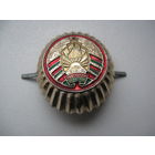 Кокарда МВД РБ