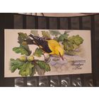 Беларусь 2005 буклет природа