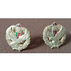 Эмблемы петличные пара погранвойск РБ. Латунь.