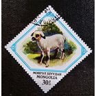 Марка Монголия 1982 год Фауна